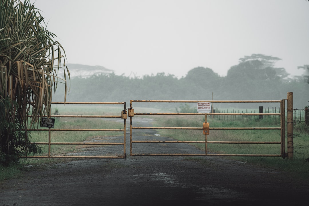 brown wooden fence on black asphalt road during foggy weather