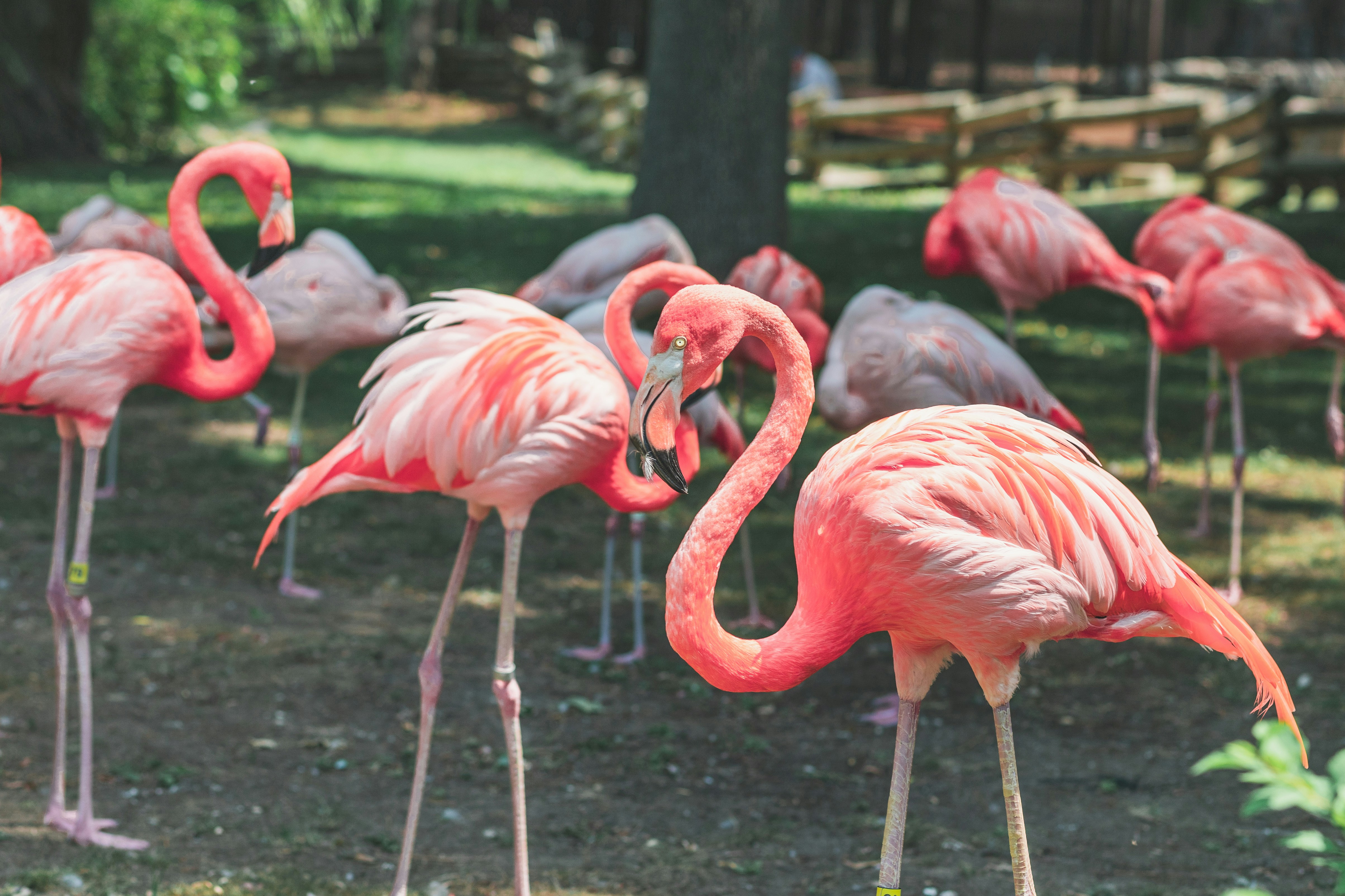 Photo by jewelsiepoo