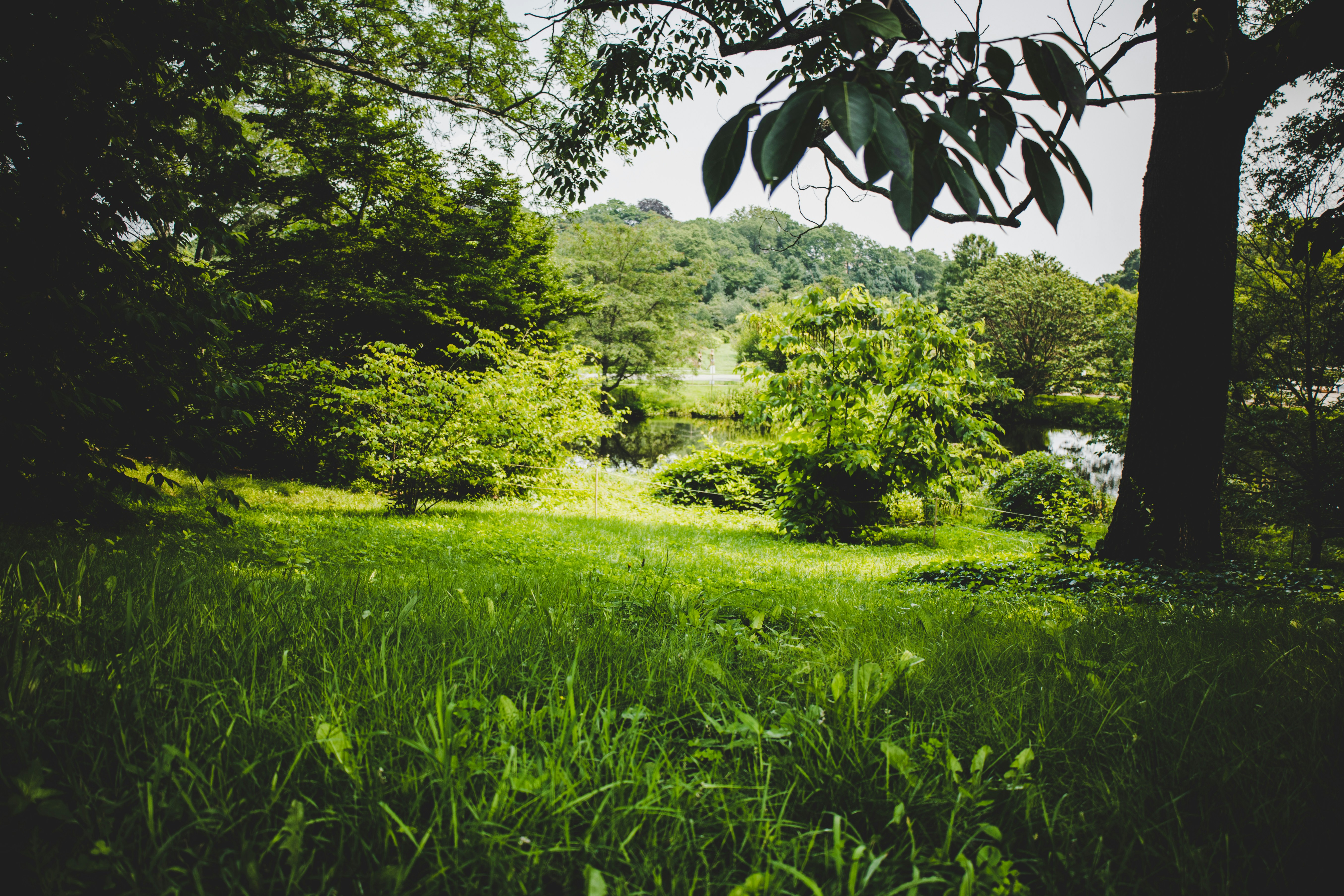 Photo by yassine_khalfalli