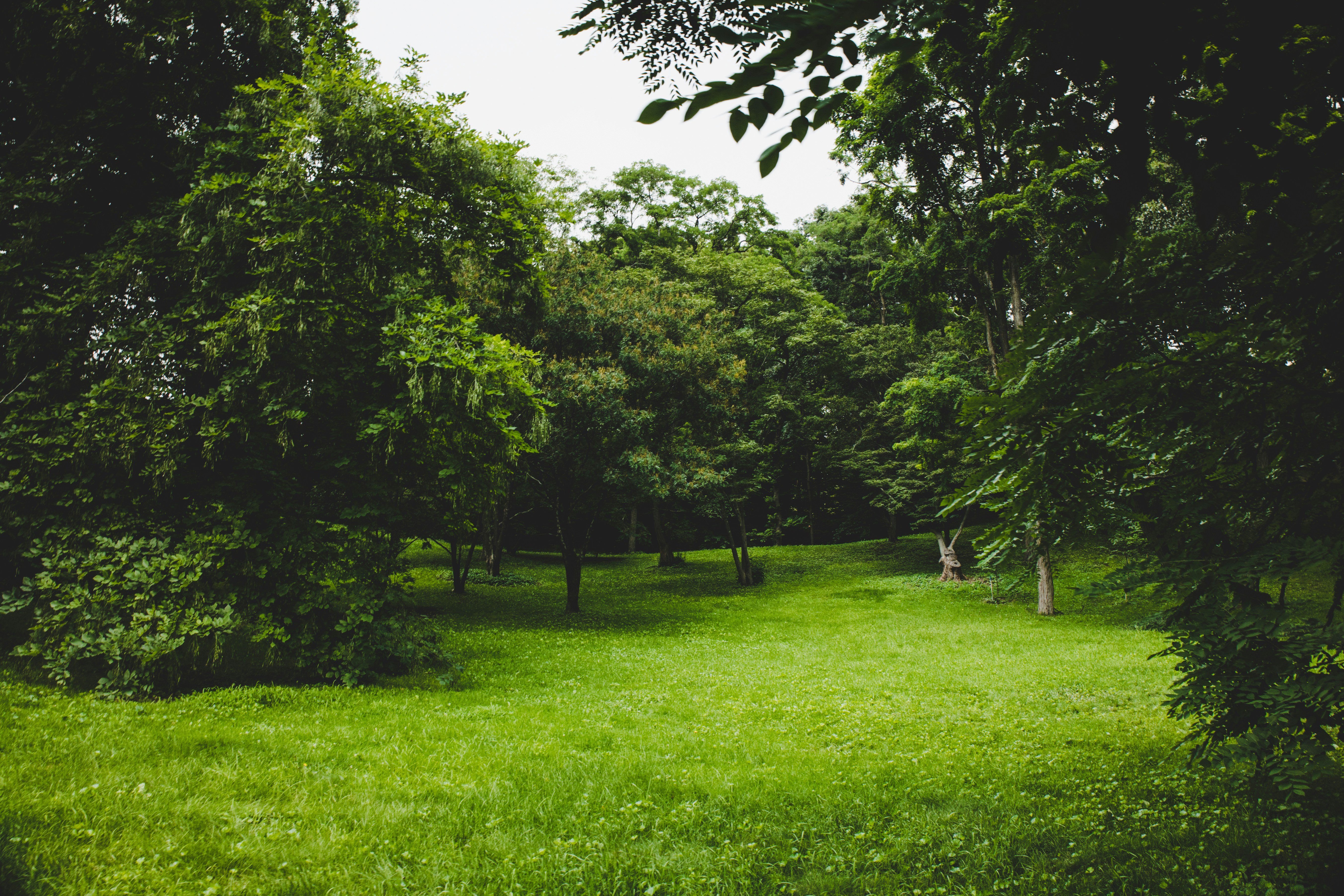 Photo by yassine_khalfalli