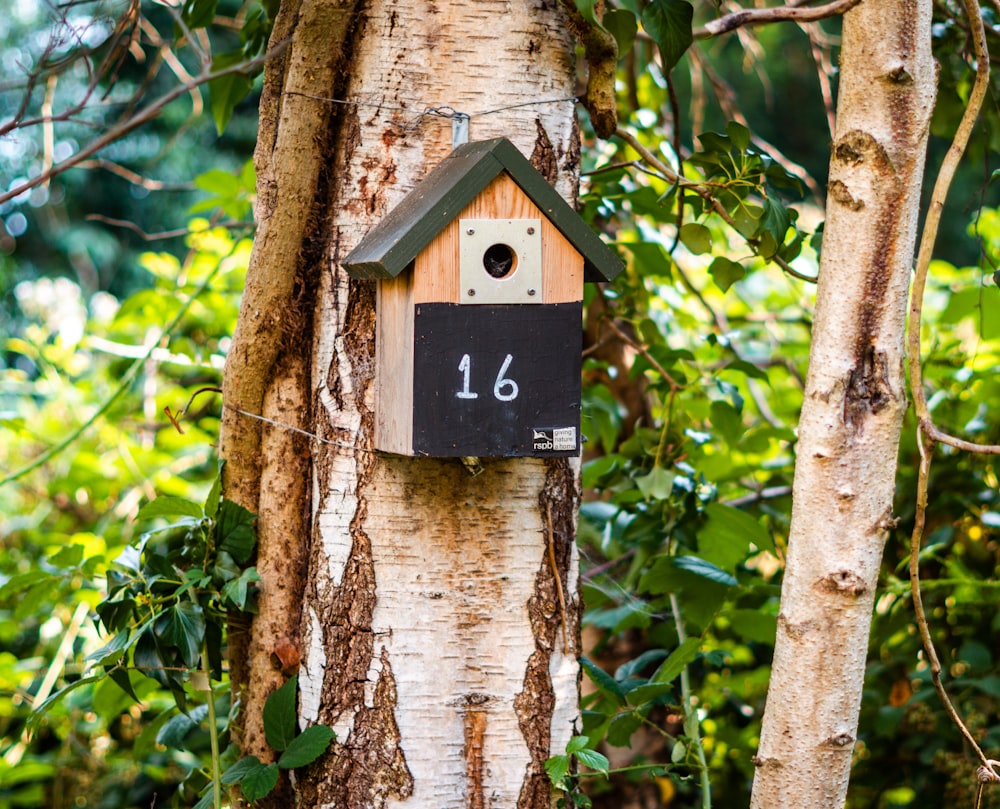 brown wooden birdhouse on tree trunk