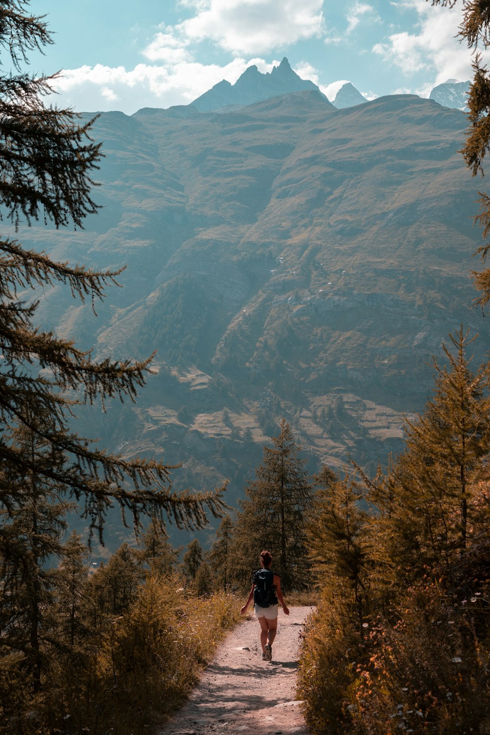 person in black jacket standing on brown tree during daytime