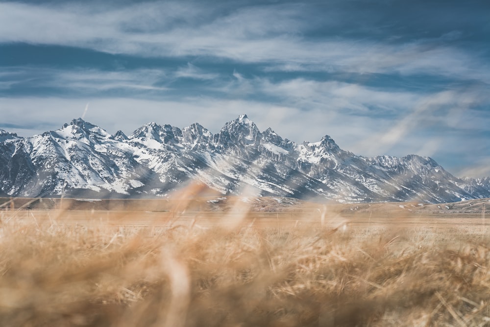 montagnes enneigées sous ciel bleu pendant la journée