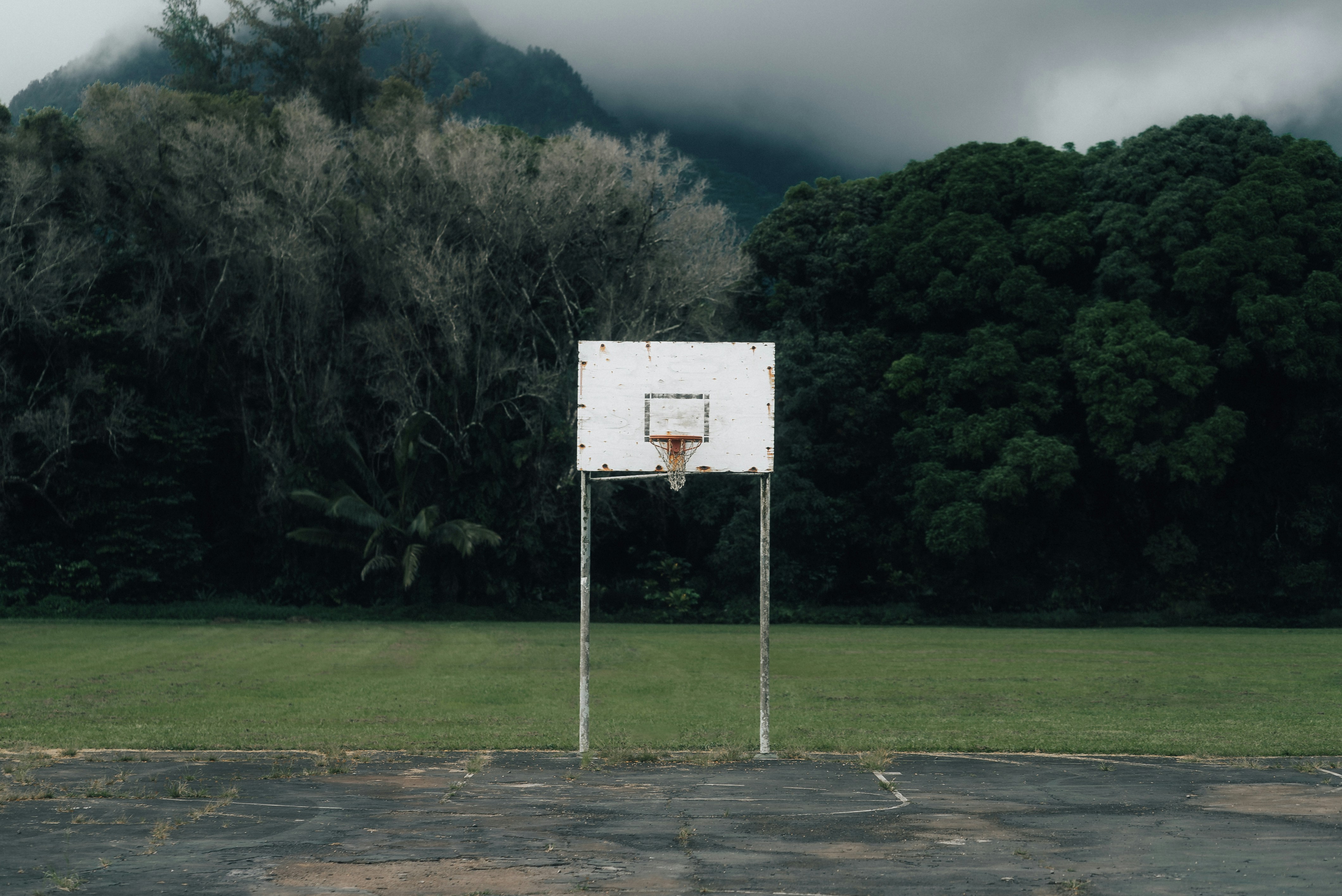 basket nba