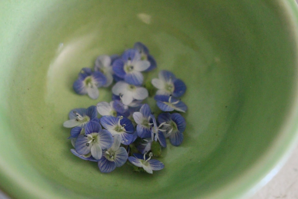 blue and white flower on green ceramic bowl