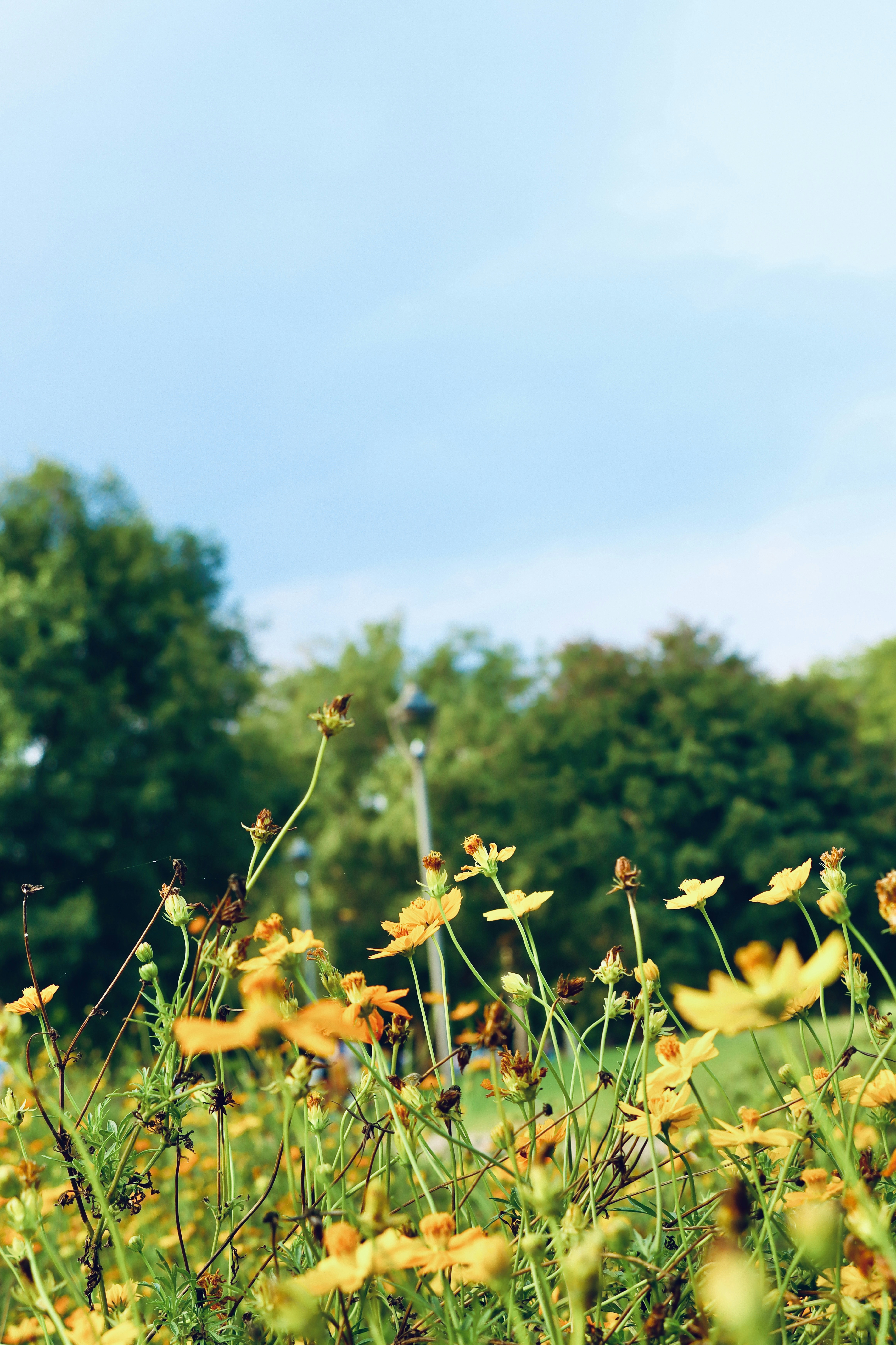 Photo by piyushtaneja