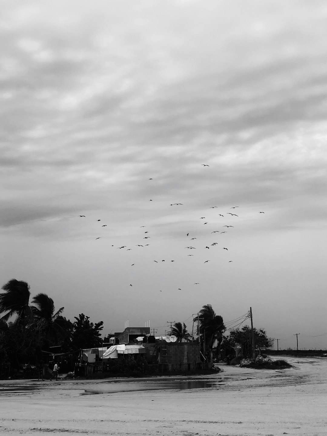 grayscale photo of people walking on street