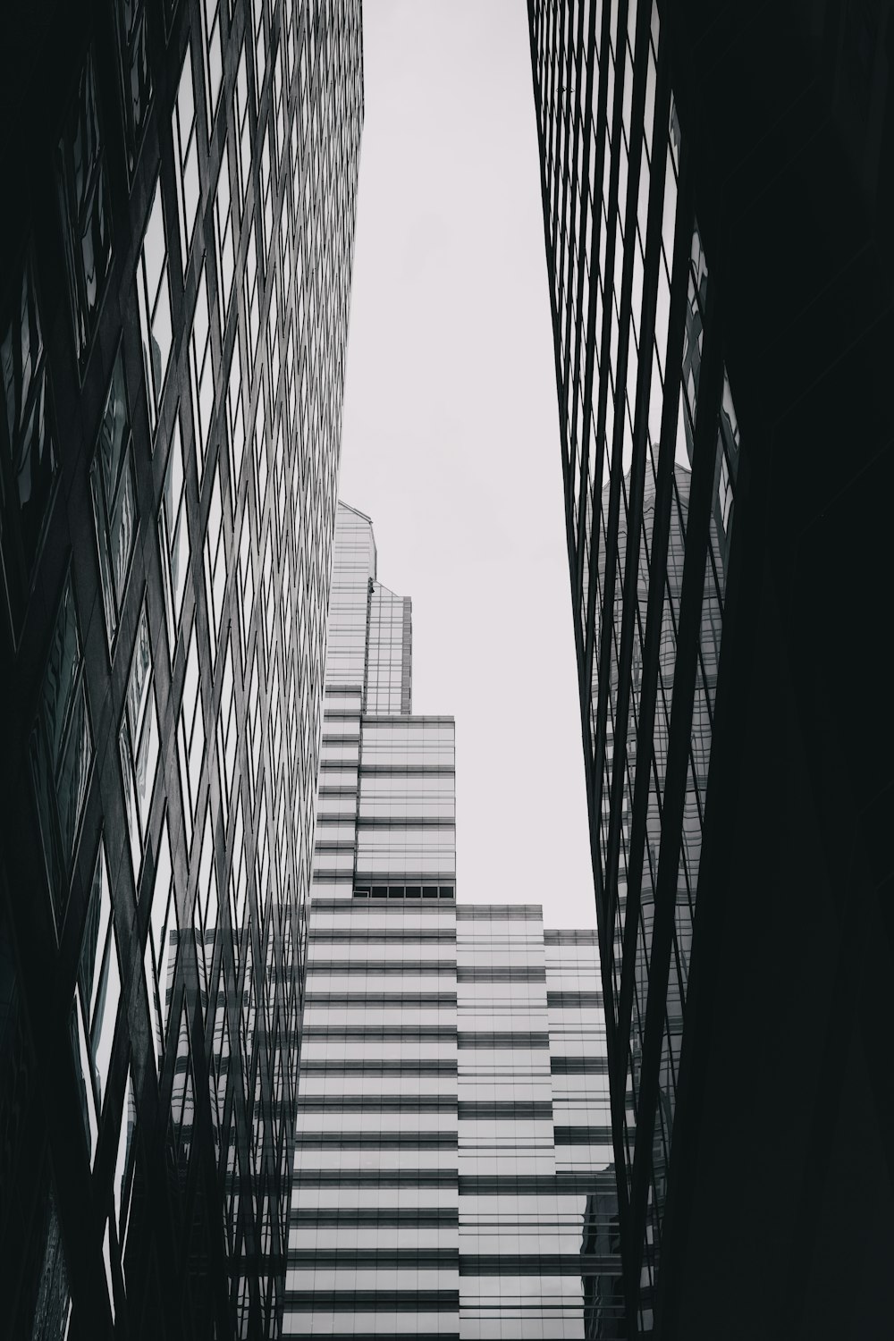 grayscale photo of high rise buildings