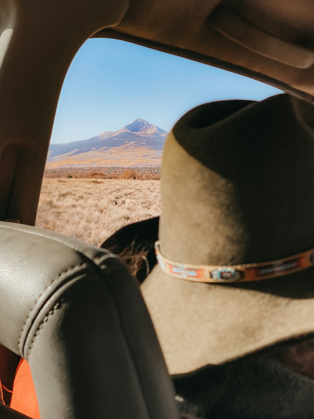 brown cowboy hat on car seat