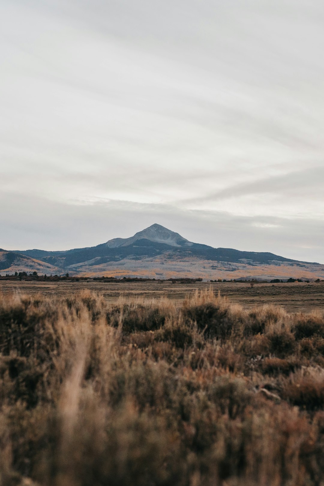 brown grass field near mountain under white sky during daytime