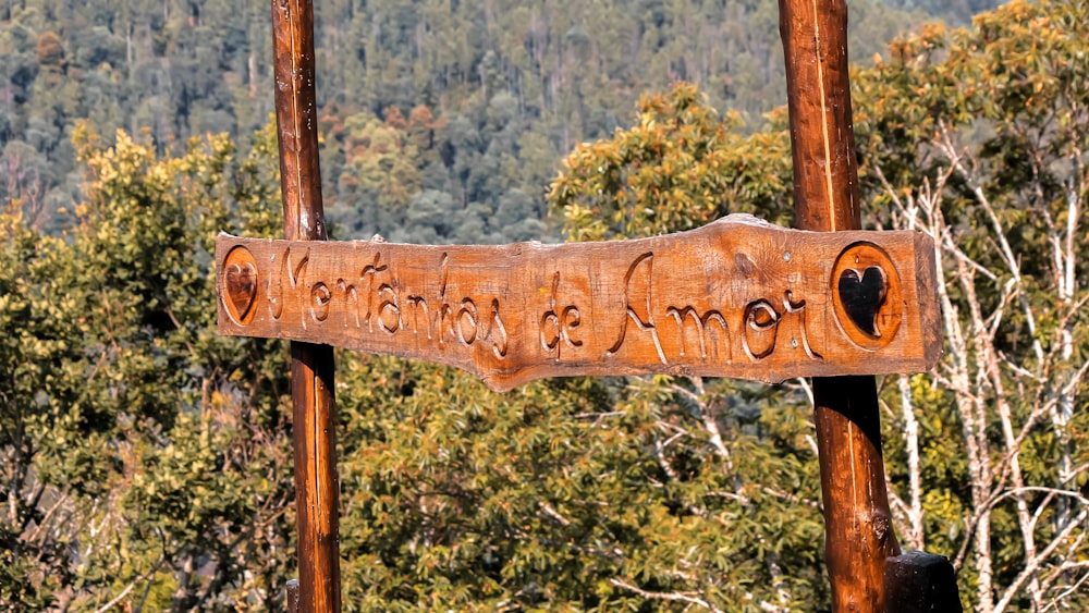 Clôture en bois marron avec des arbres verts en arrière-plan pendant la journée