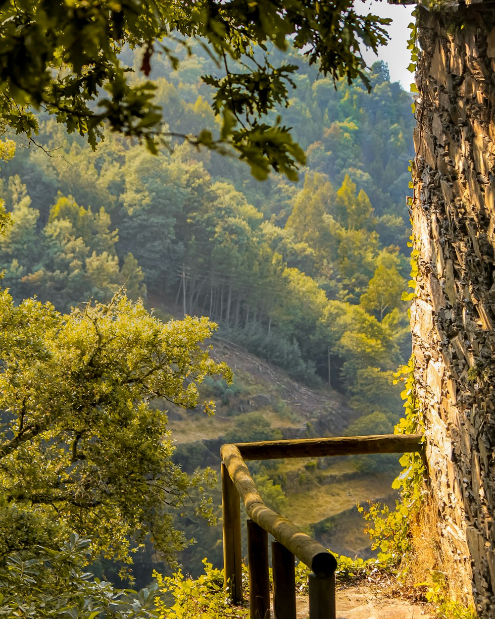 recinzione di legno marrone vicino agli alberi verdi durante il giorno
