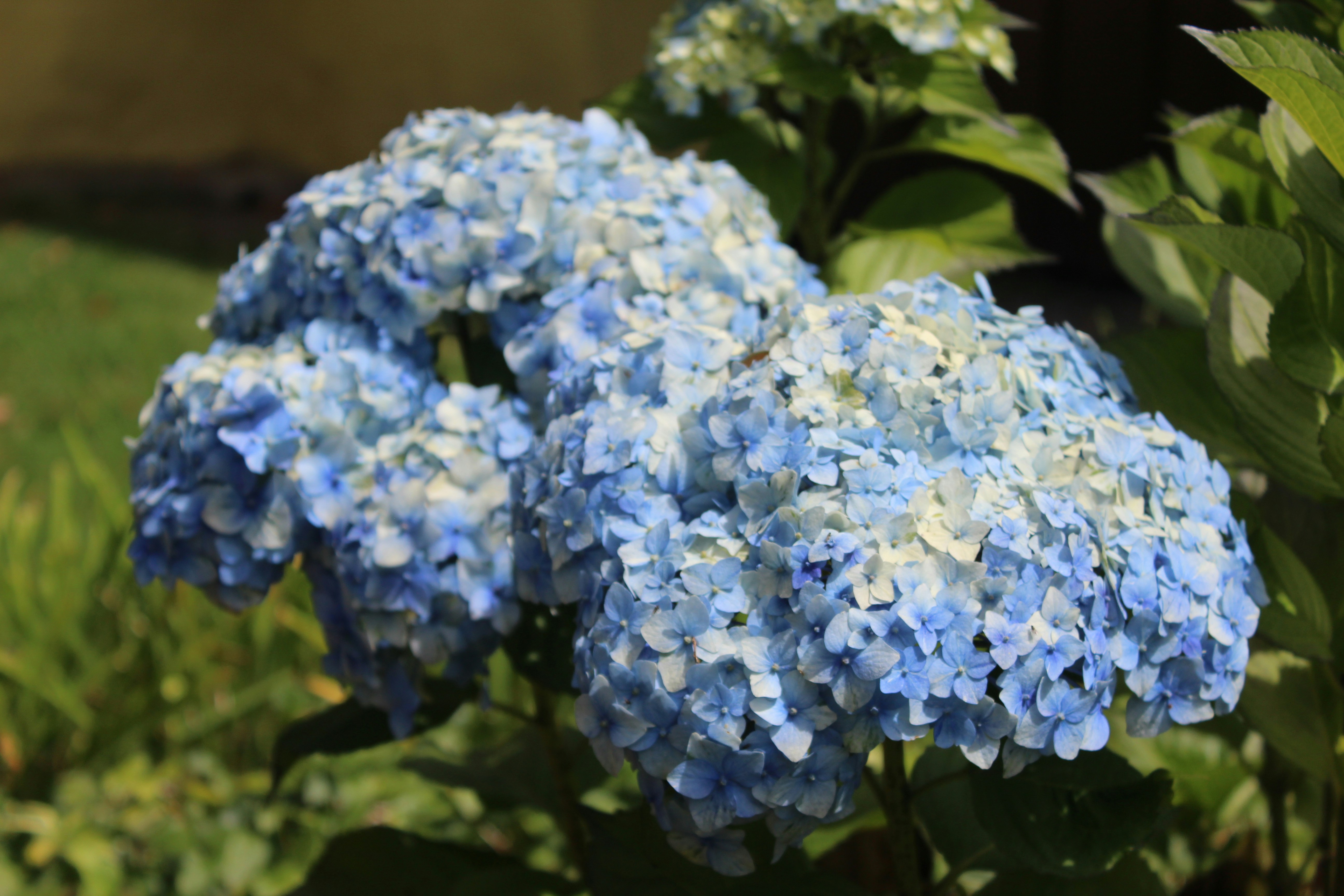 Photo by luisaimagen