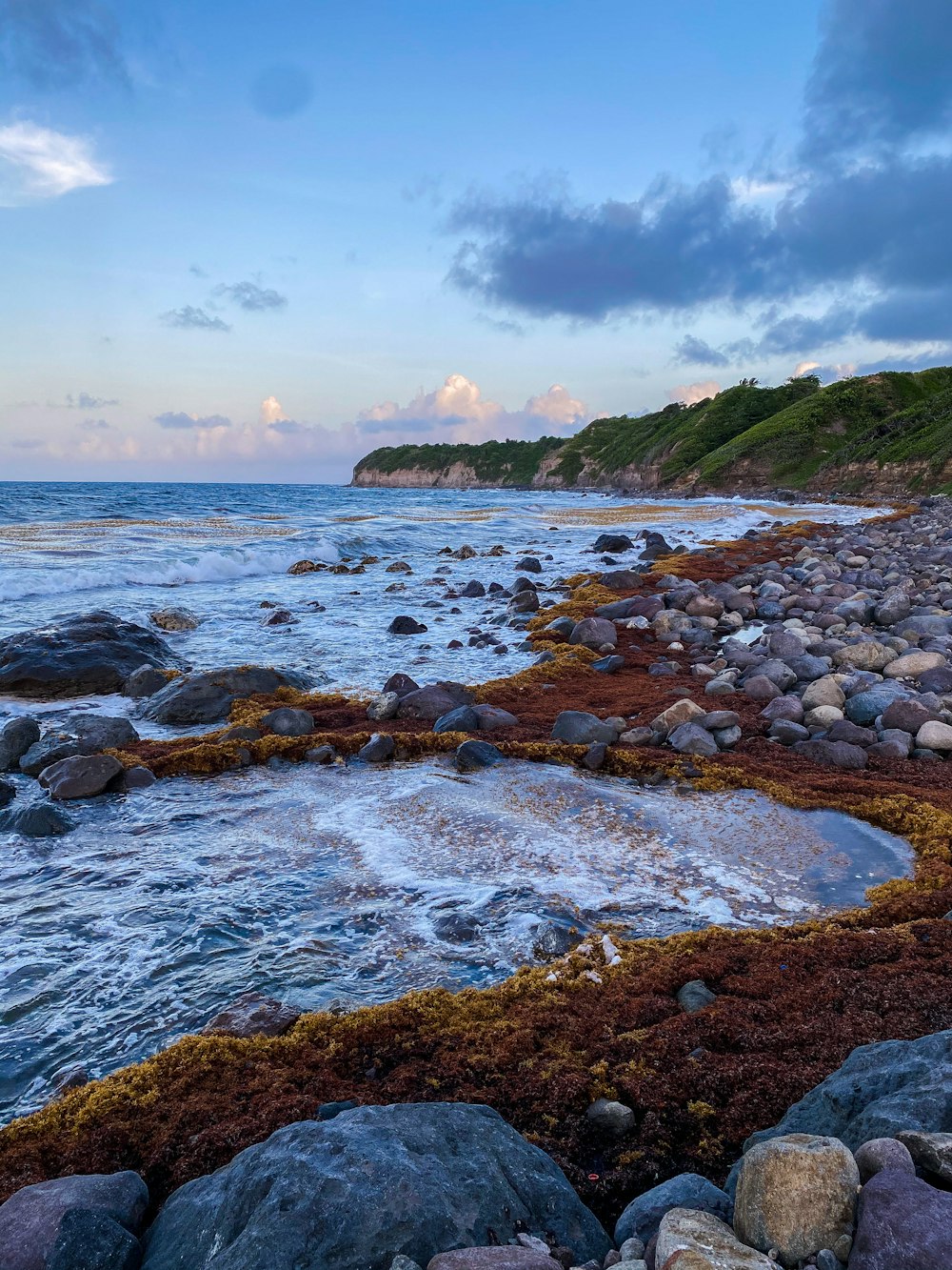 rocky shore under white clouds during daytime