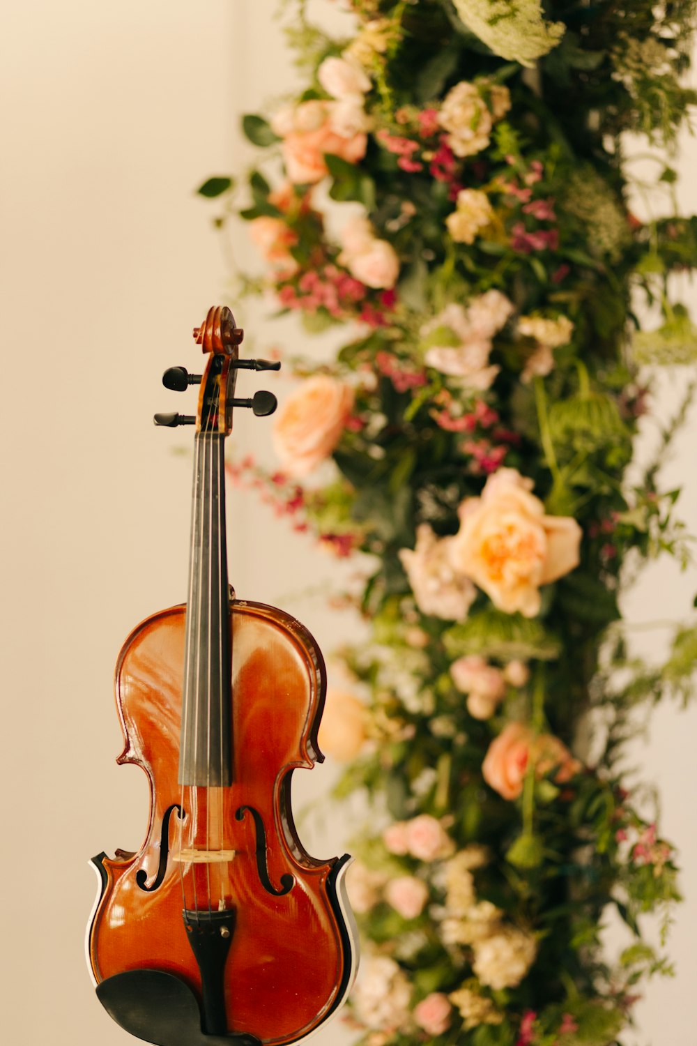brown violin near green and pink flowers