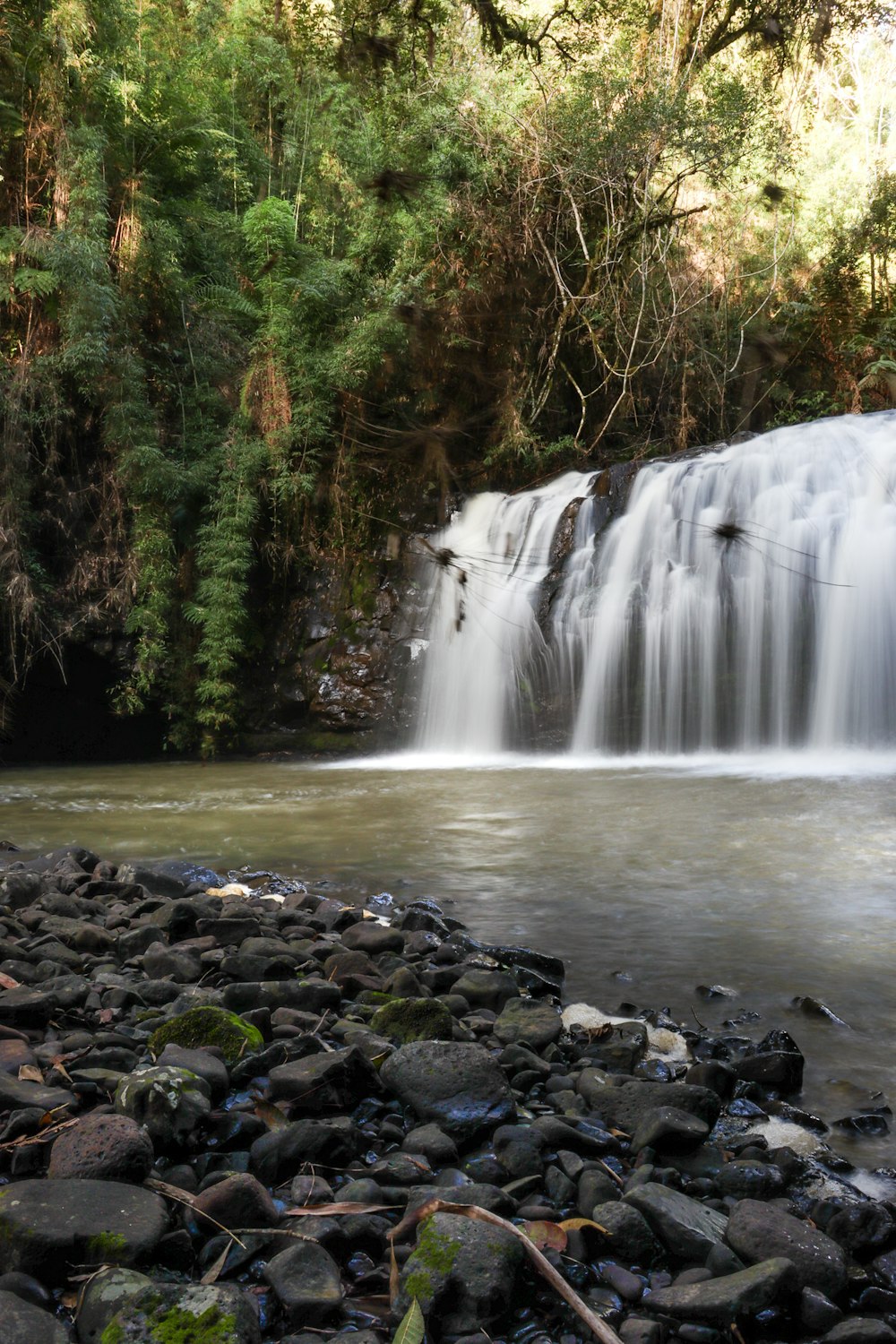 water falls surrounded by rocks and trees