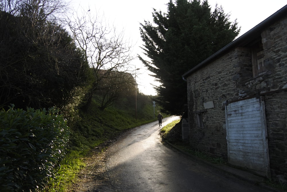 gray concrete house near green trees during daytime