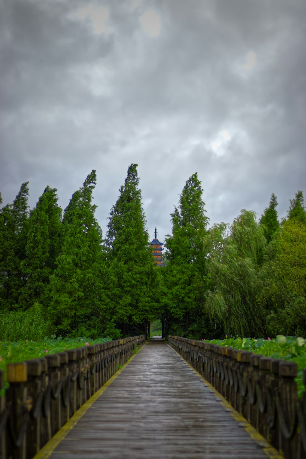 gray wooden bridge between green trees under gray sky