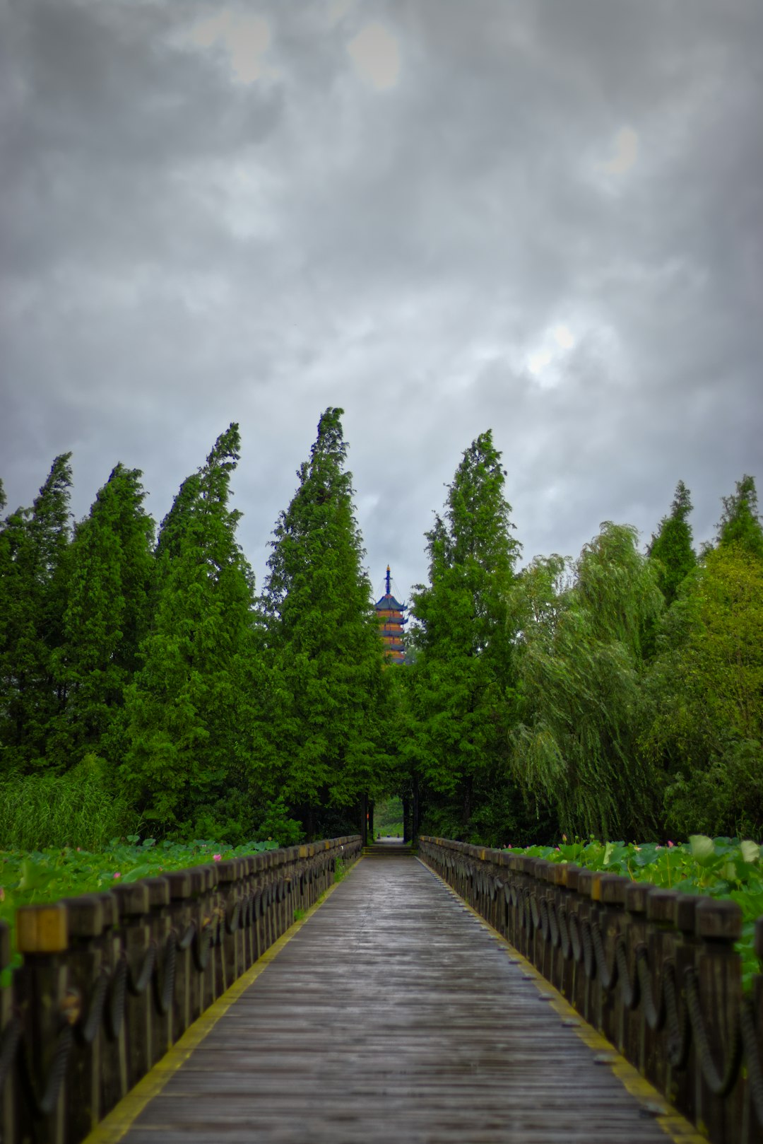 gray wooden bridge between green trees under gray sky