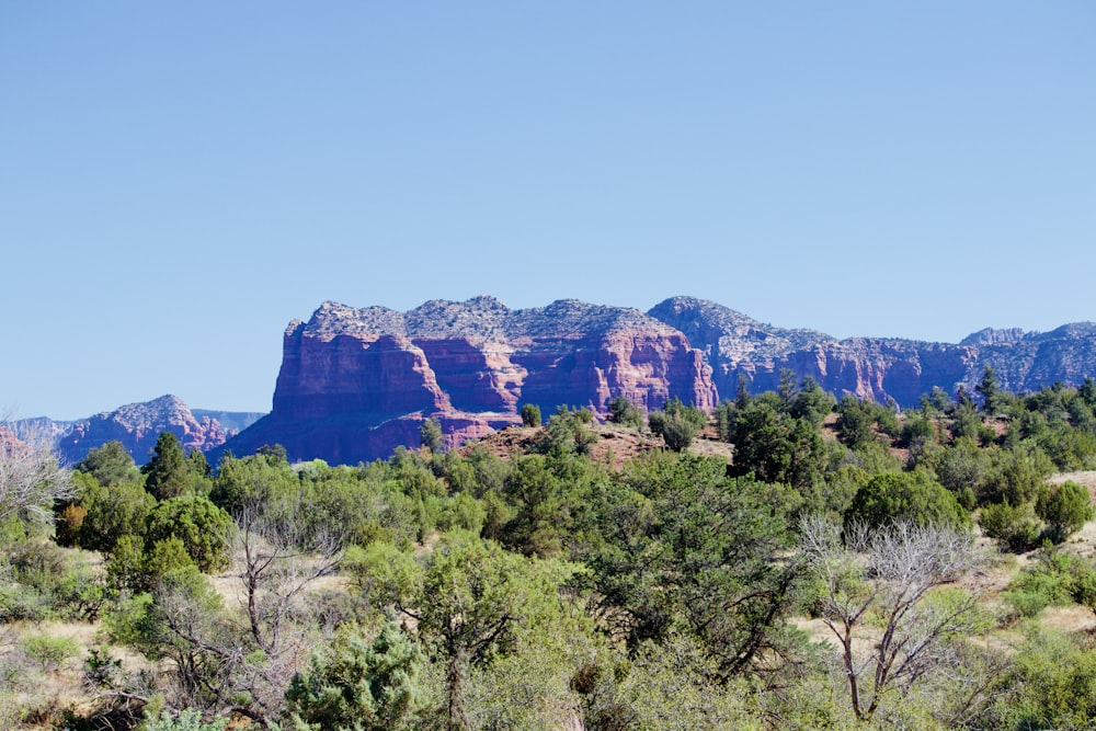 brown rock formation near green trees during daytime