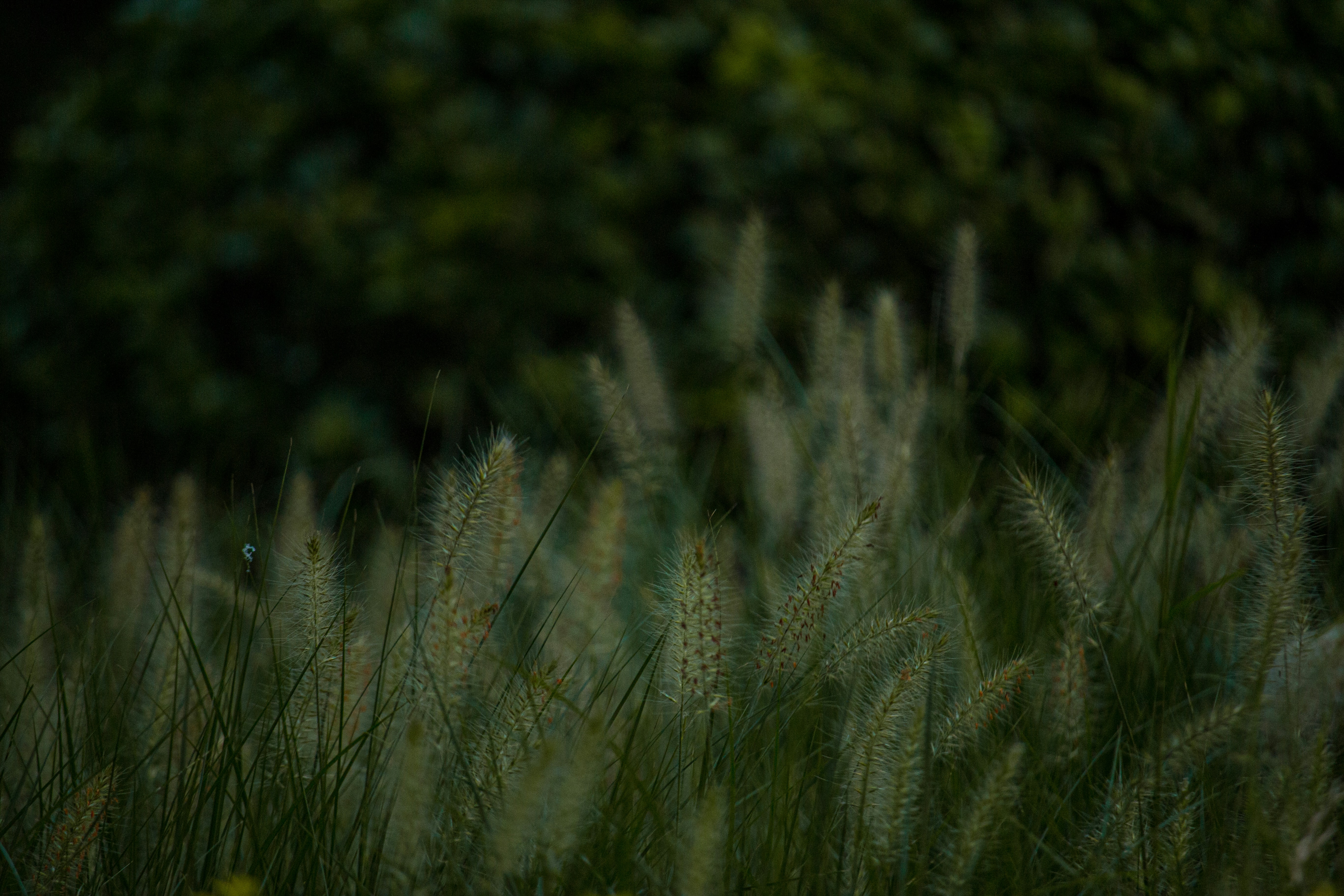 Photo by dylanhendricks