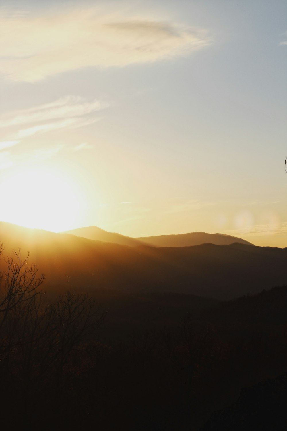 silhouette of bare trees on mountain during daytime