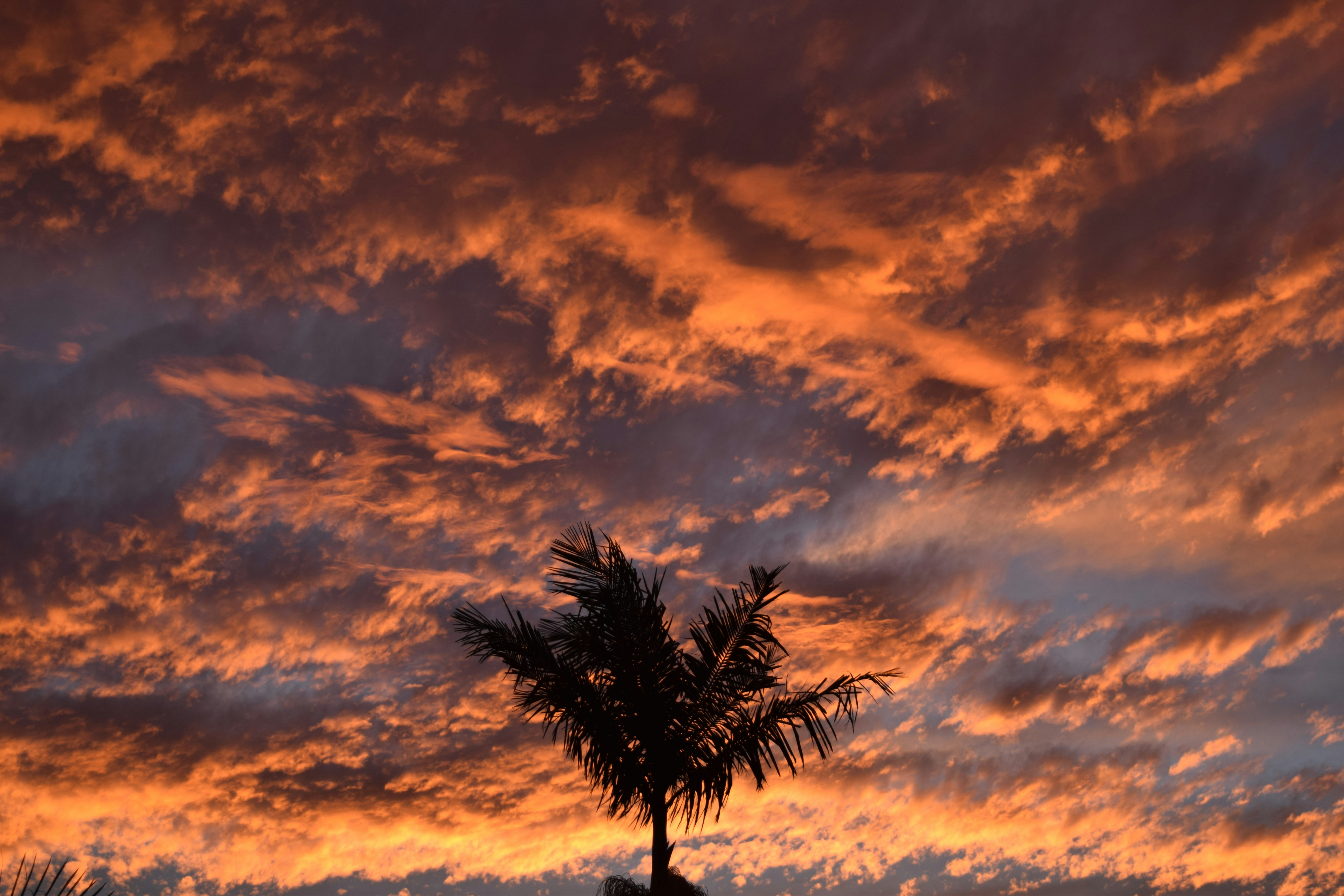 Photo by ch_photography