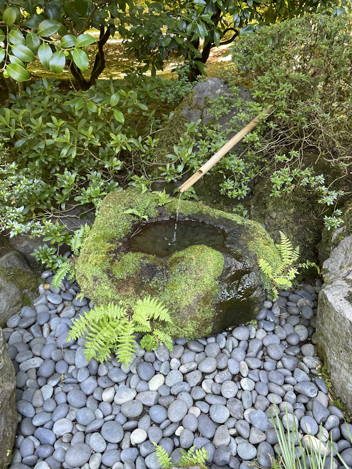 Calm garden seating area on the hospital campus