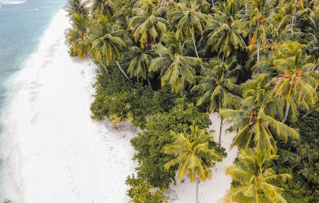 Natural landscape photo spot Maaungoodhoo Kurendhoo