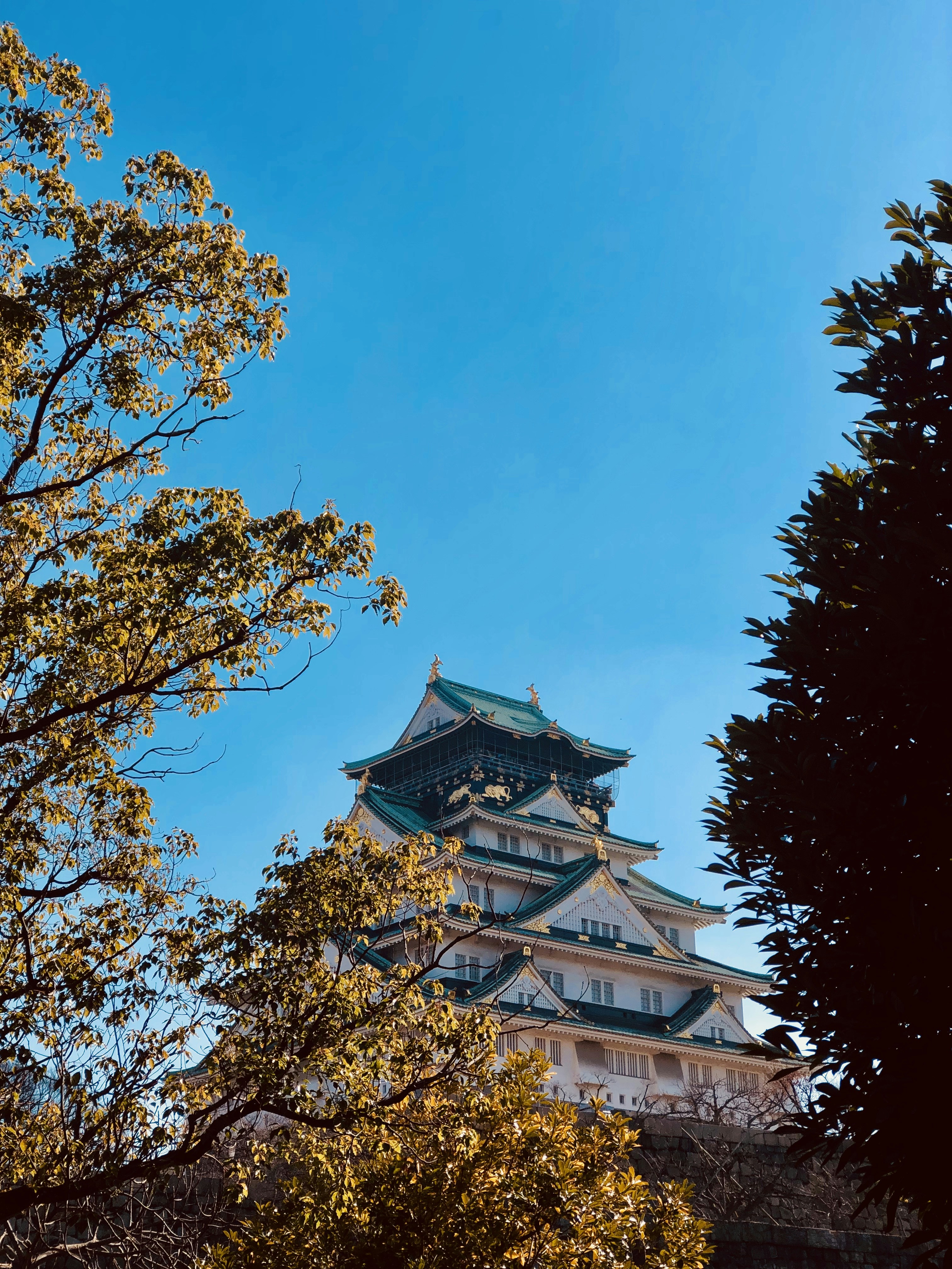 Getting Around Osaka - Transportation Essentials for First-Timers