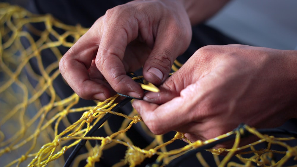 person holding yellow string lights