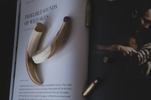 An open magazine displays an article titled 'Indelible Sounds of Wild Skies'. There are two tusks placed on the page, and bullet casings are scattered around. To the right, there is a dark-toned image depicting a man holding an object.