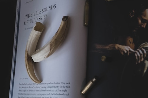 An open magazine displays an article titled 'Indelible Sounds of Wild Skies'. There are two tusks placed on the page, and bullet casings are scattered around. To the right, there is a dark-toned image depicting a man holding an object.