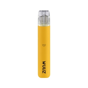 Premium Disposable Vape Device
