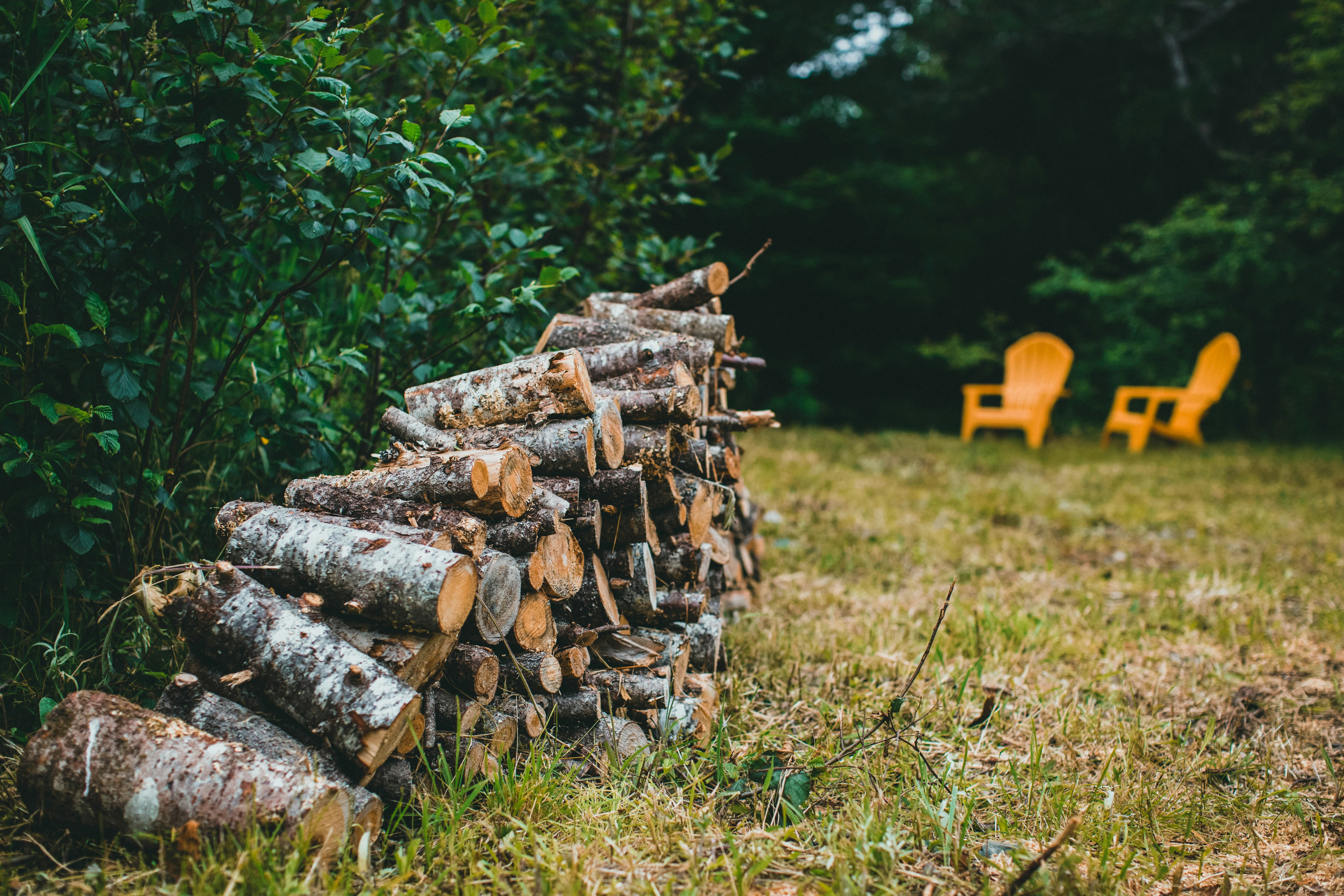 Photo by theshuttervision