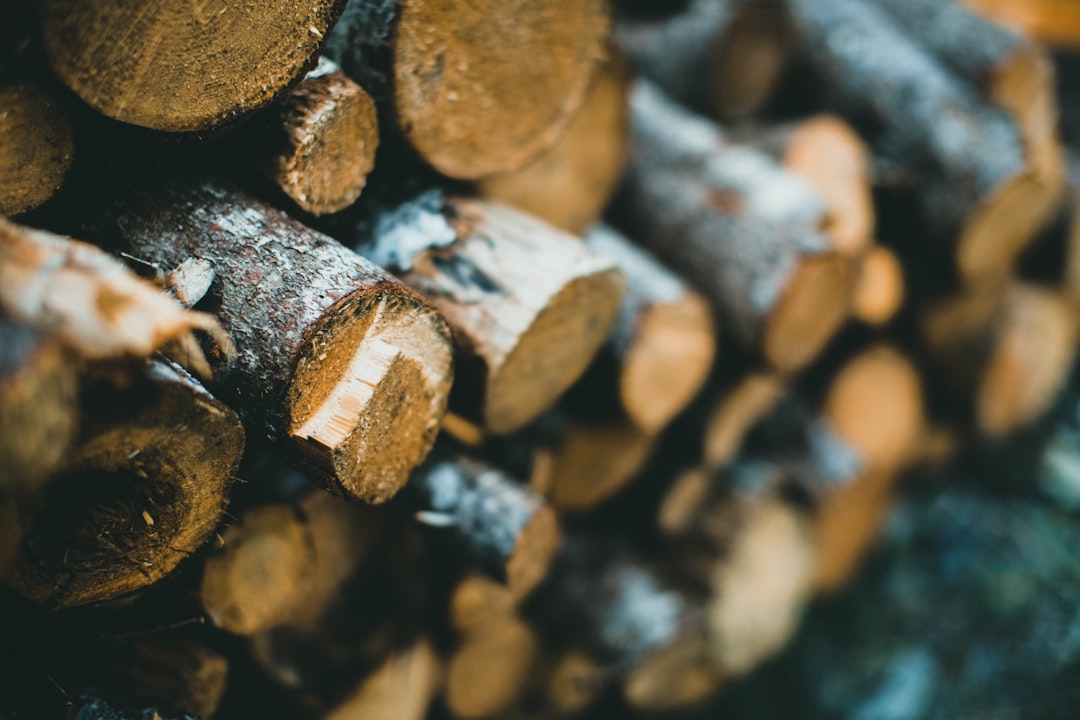 brown and black wood logs