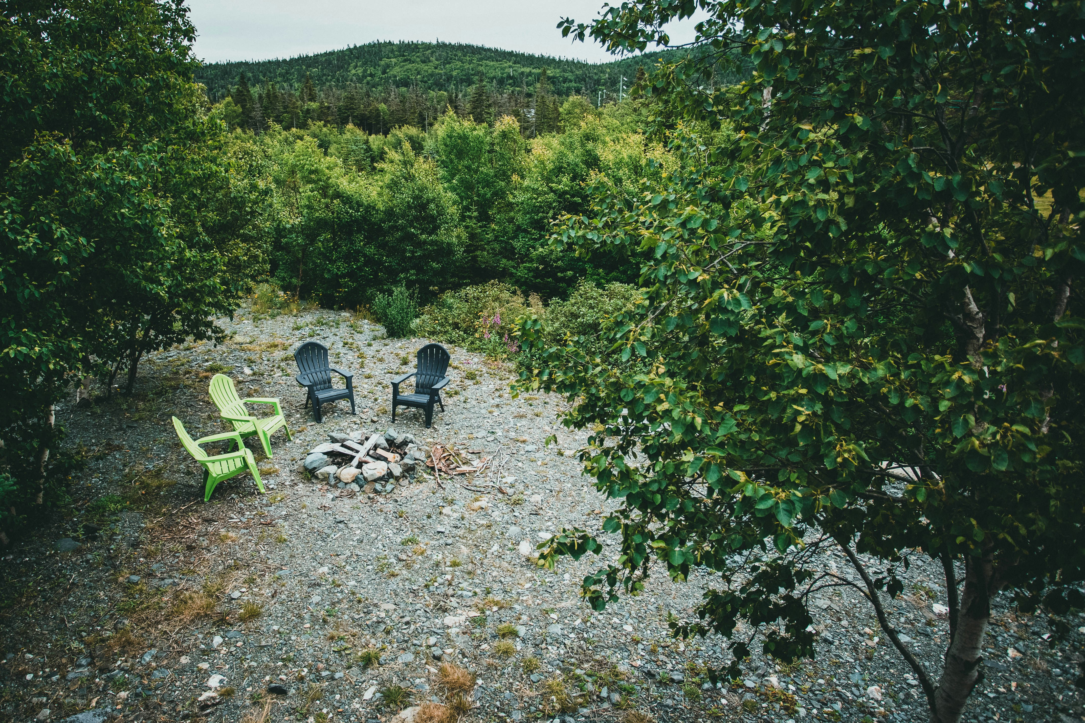 Photo by theshuttervision