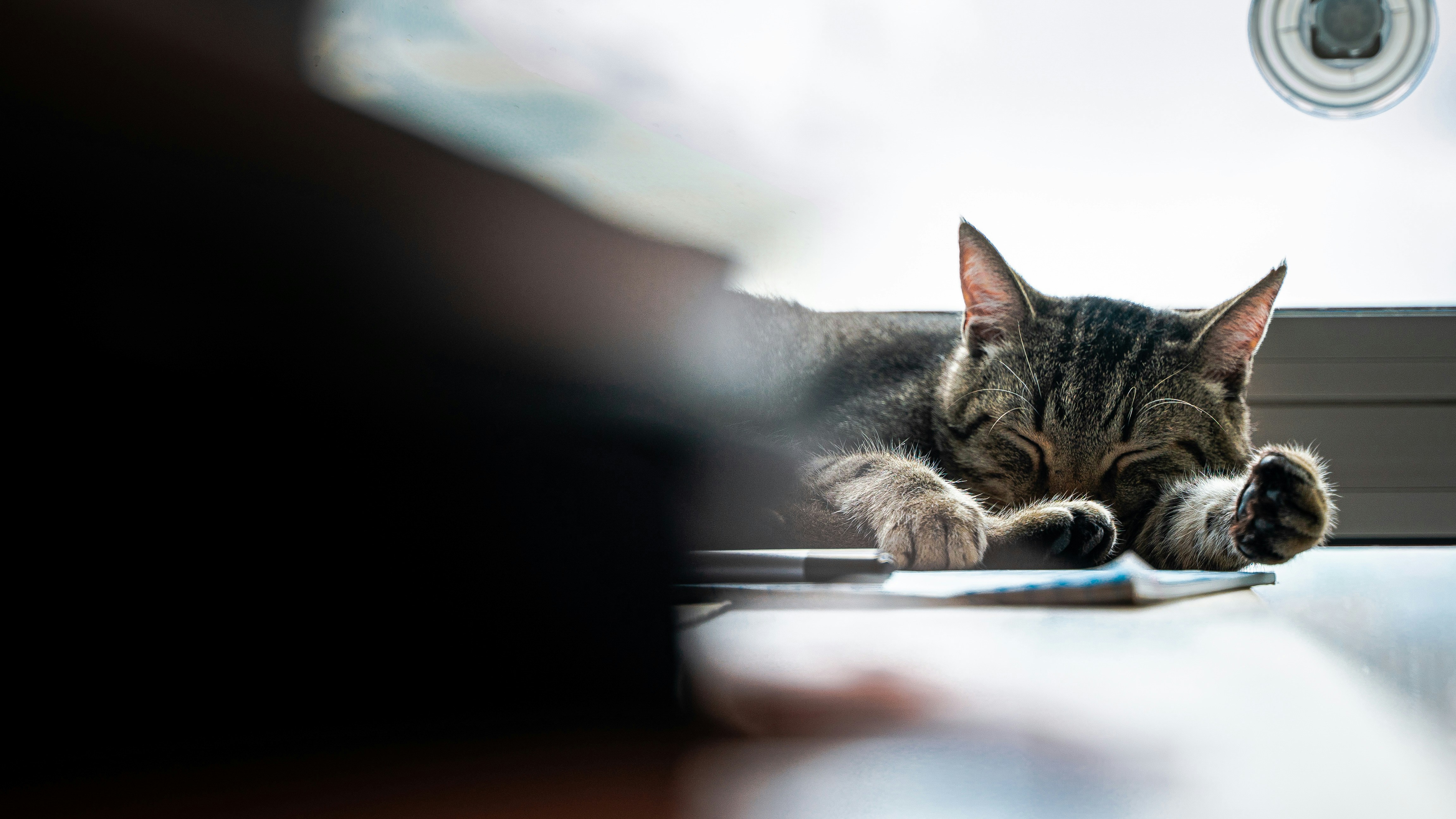 When Illness Strikes (image credits: unsplash)