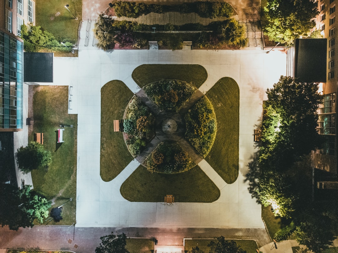 aerial view of green trees and plants