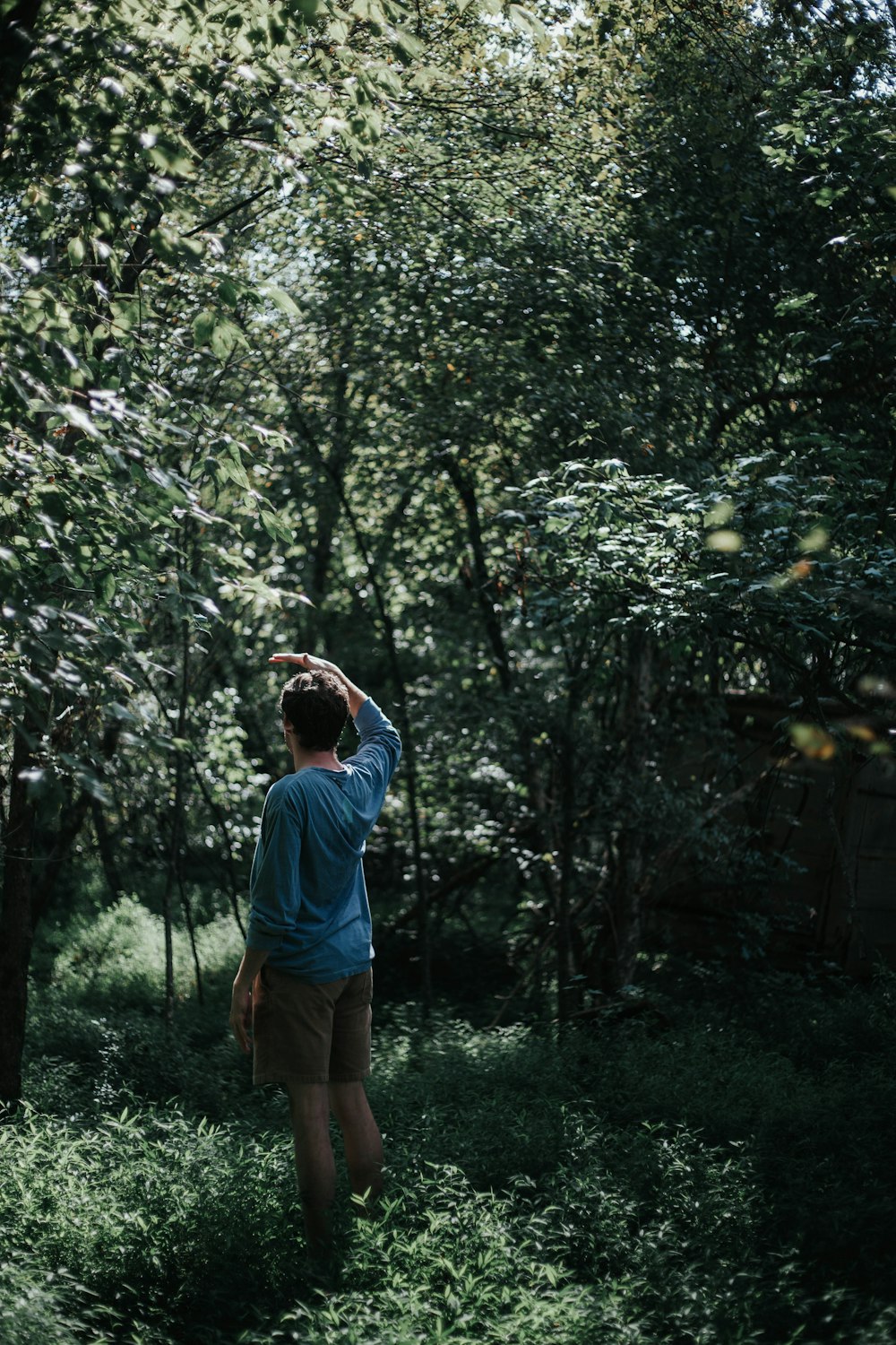 man in blue shirt and brown shorts standing under green tree during daytime