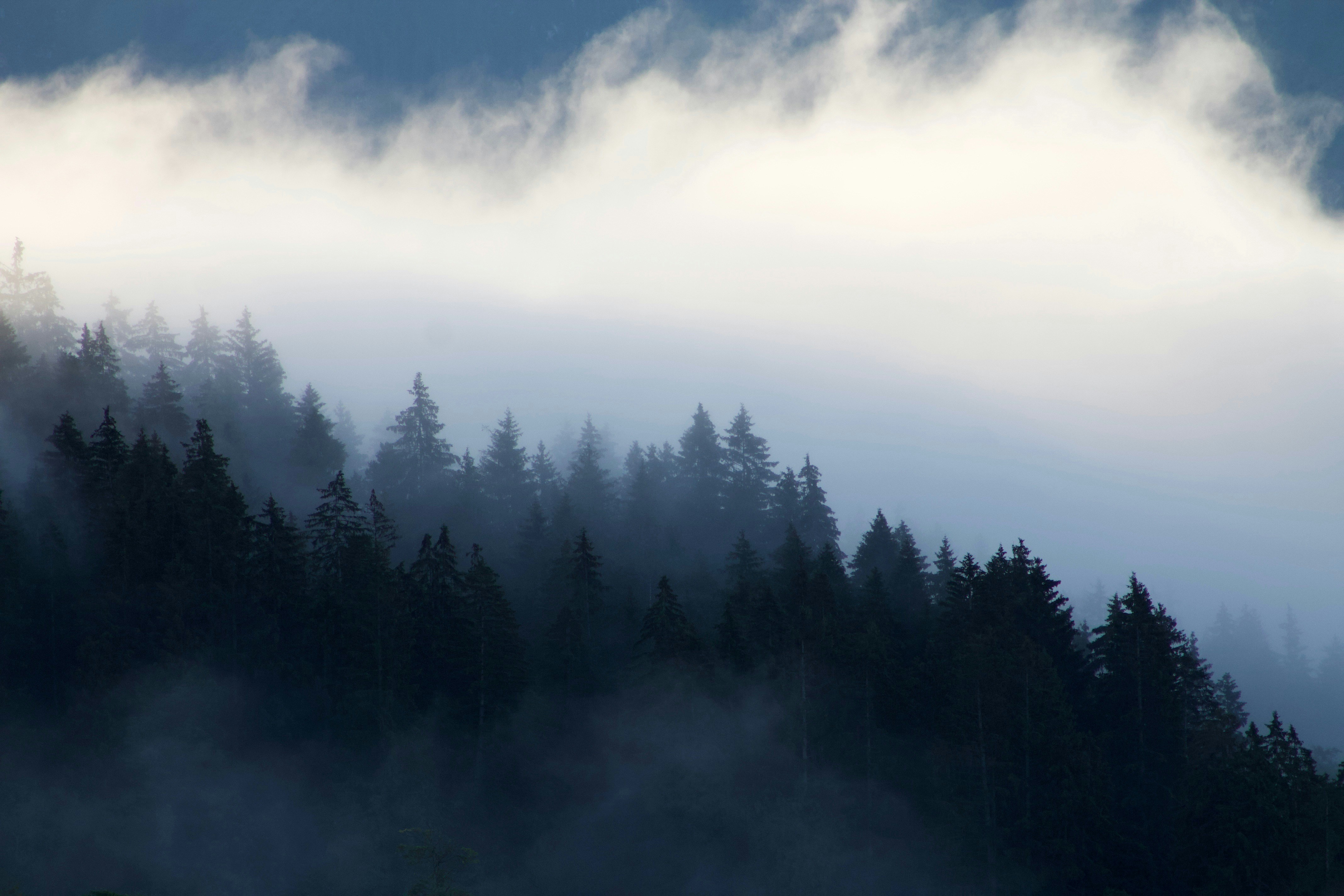 Photo by mariehaueisrobinson