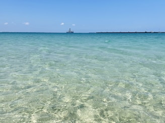 person in water under blue sky during daytime