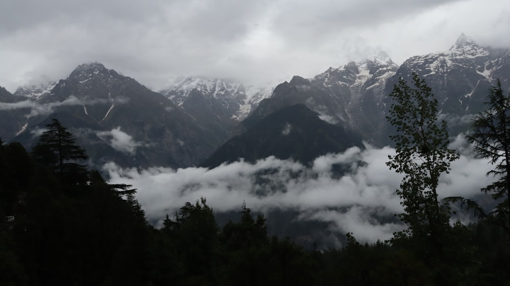 green trees on mountain under white clouds during daytime