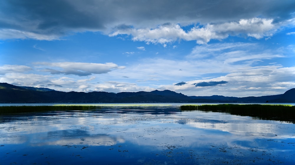 body of water near green grass field under blue and white cloudy sky during daytime