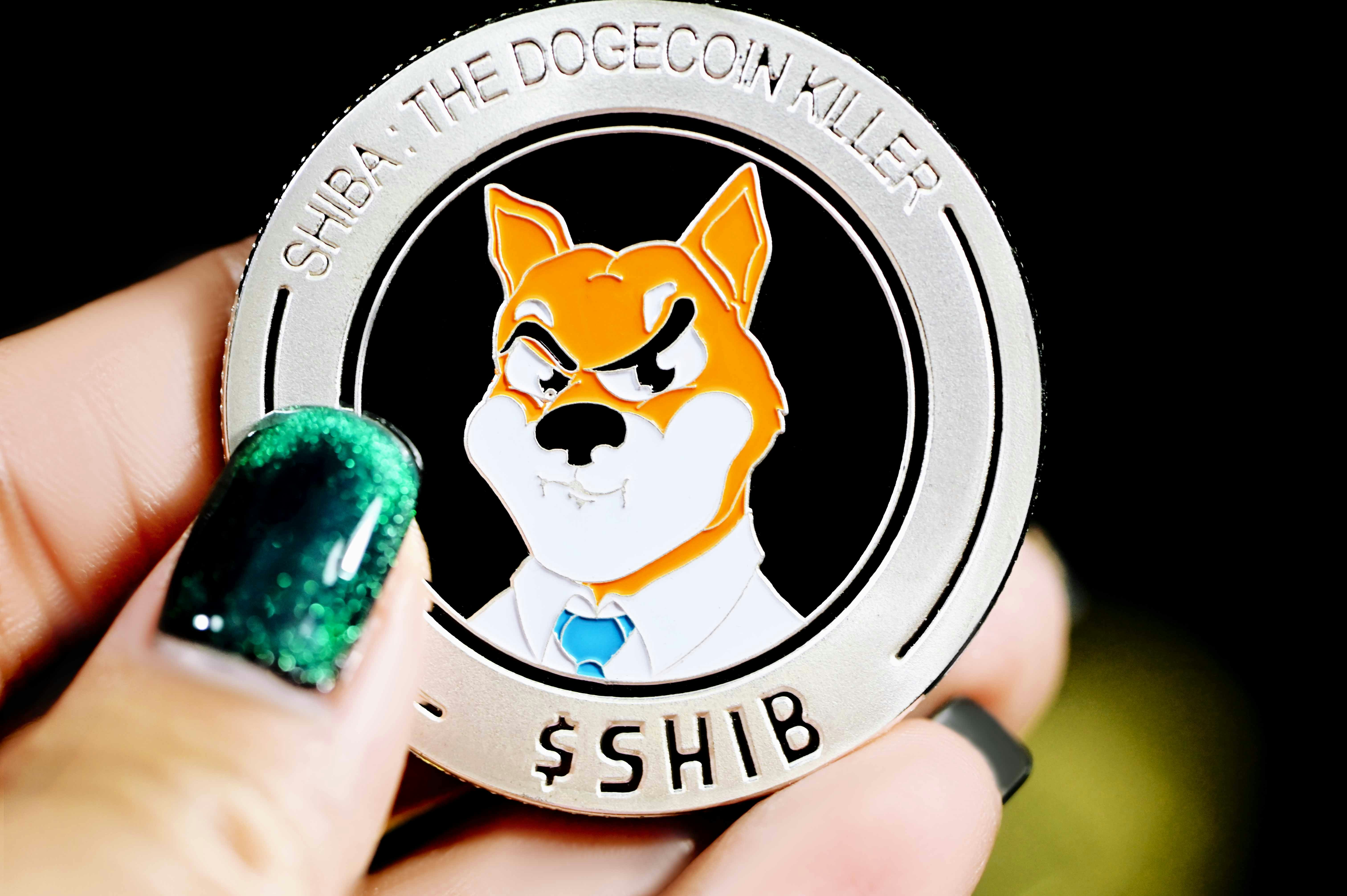 Shiba Inu (SHIB): The Meme Coin Turning Heads in the Crypto World