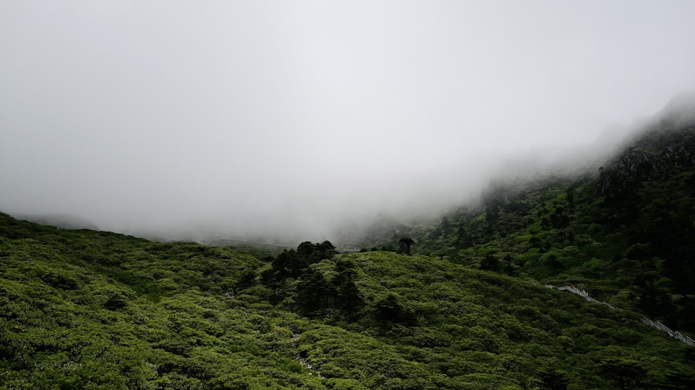 green grass covered mountain under white sky during daytime