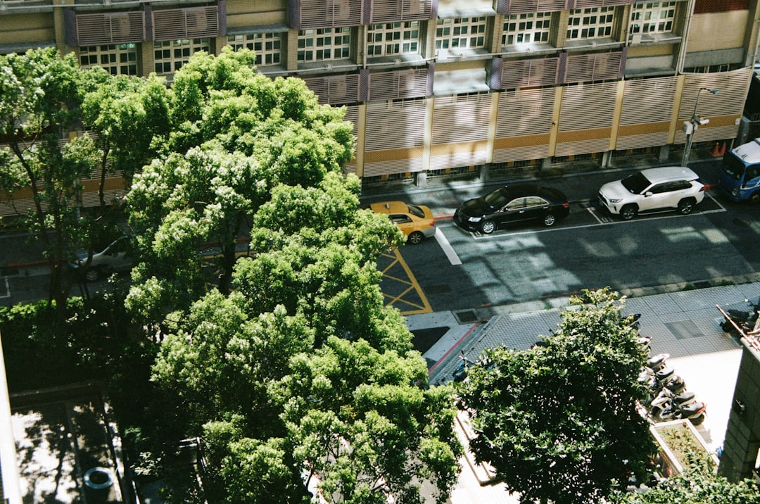 cars parked near green trees and building during daytime