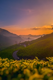green grass field near mountain during daytime