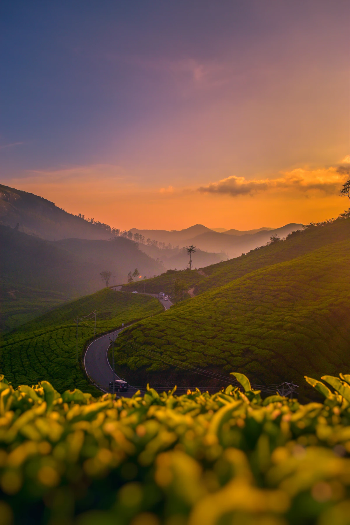 Munnar · Thekkady · Alleppey