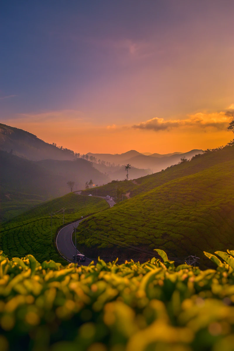 Wayanad